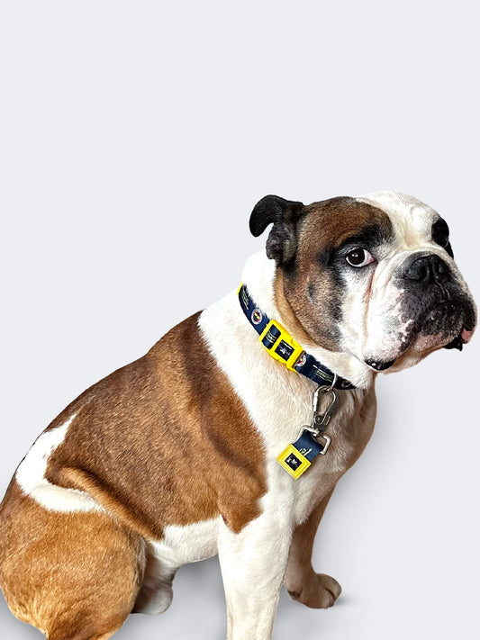 Fenerbahçe Lacivert Logo Tasma