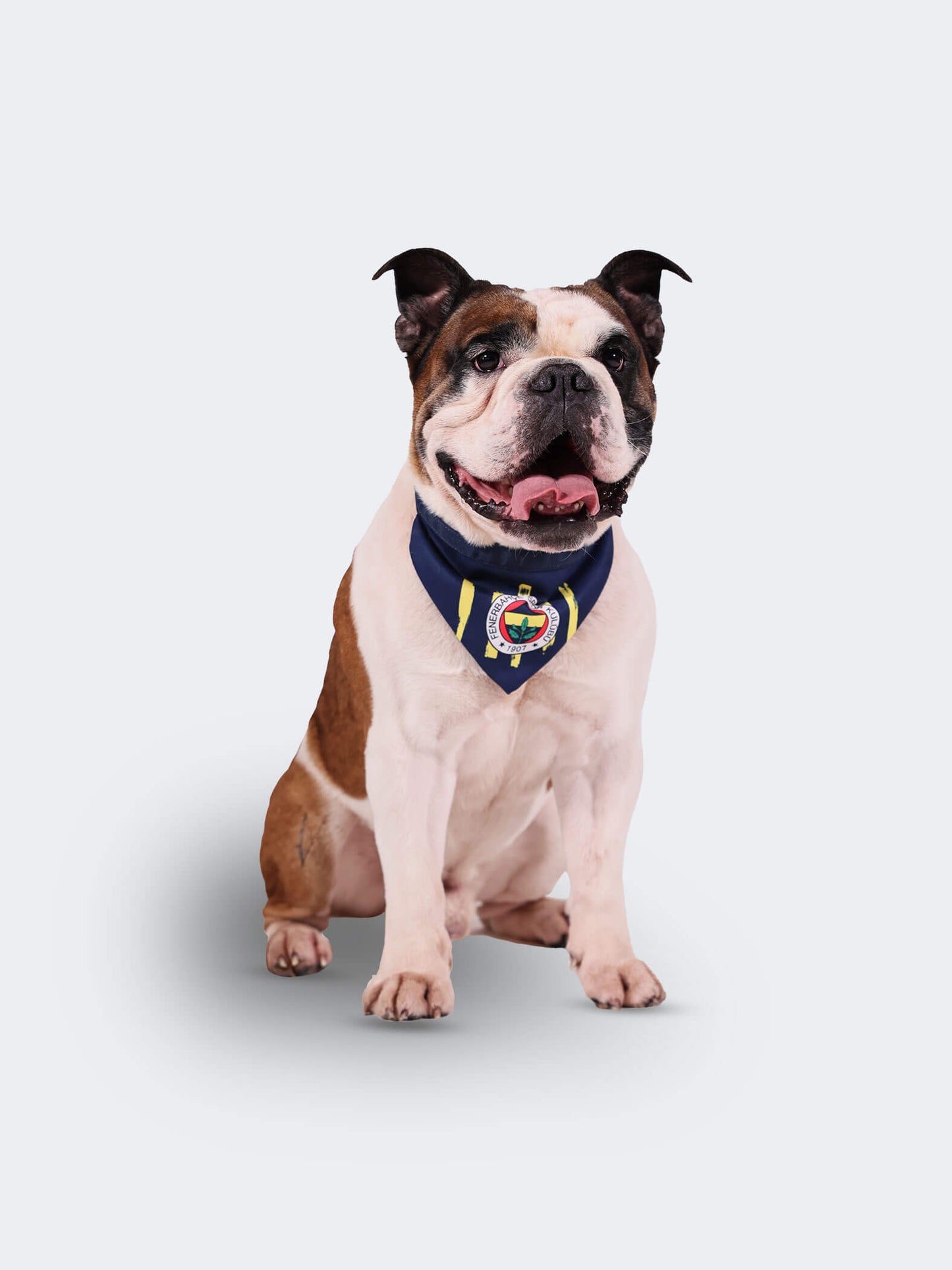 Fenerbahçe Lacivert Logo Pet Bandana