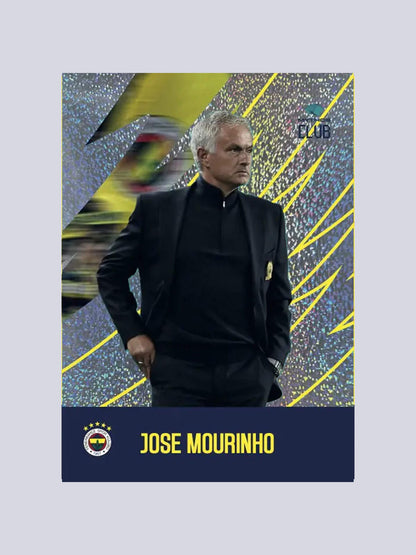 Fenerbahçe 2024/2025 Futbol 12 Adet Kart Seri Kutu