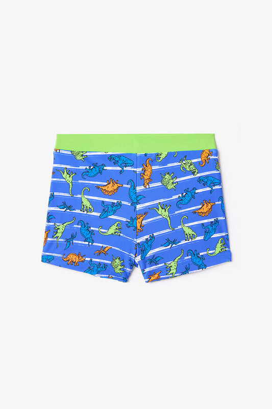 Renkli Dinozor Desenli Erkek Çocuk Boxer Mayo