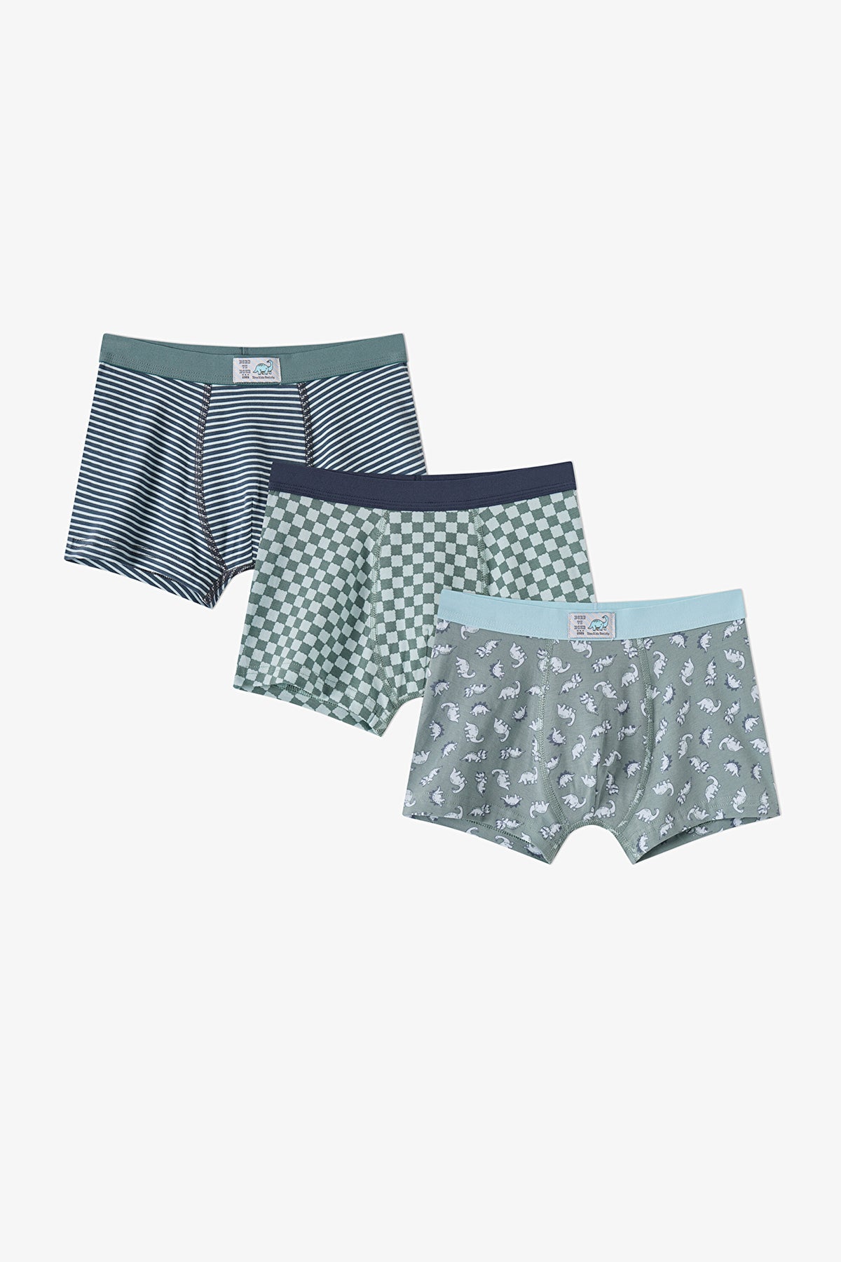 Erkek Çocuk Mavi Dino Dash Pamuklu 3'lü Boxer
