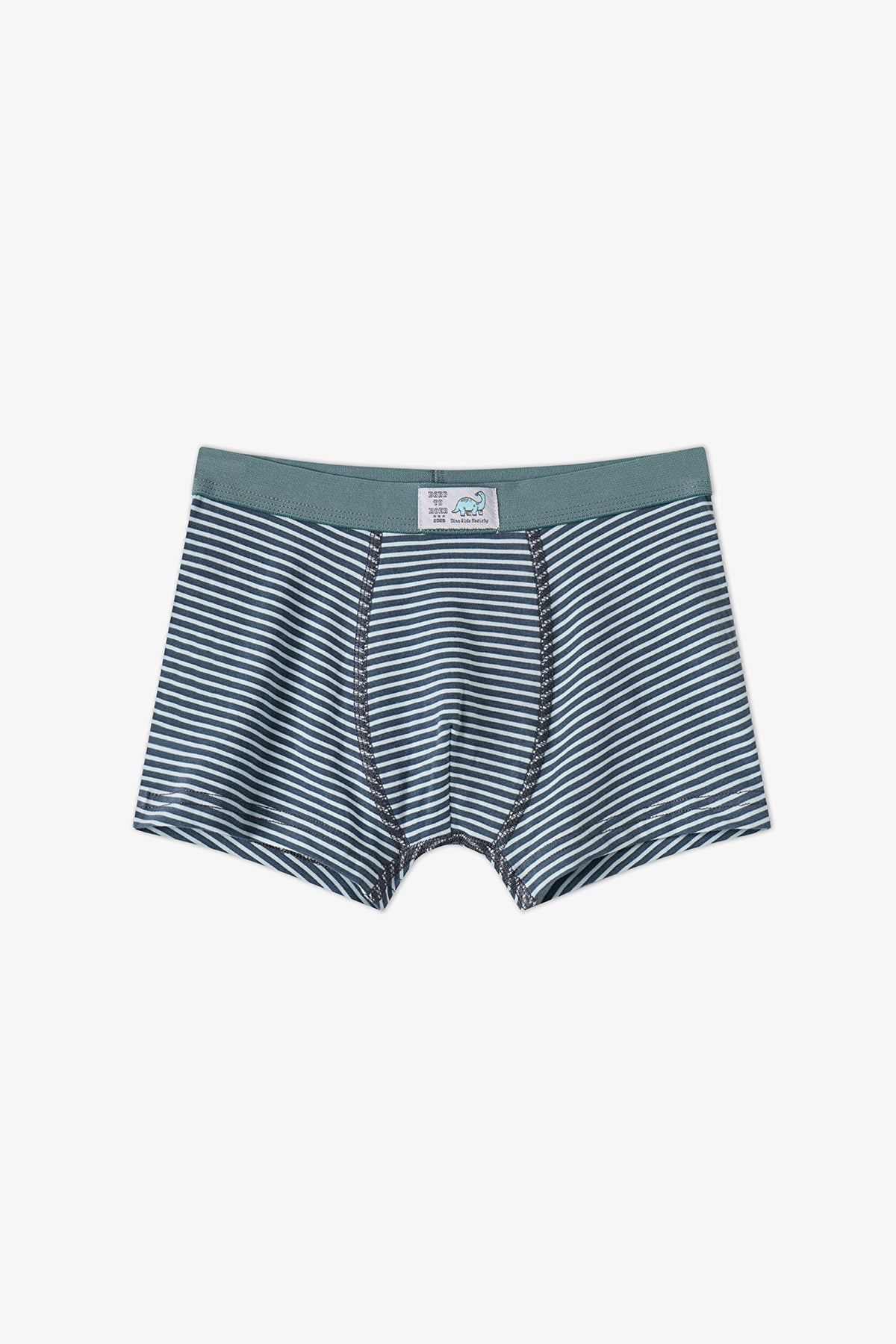 Erkek Çocuk Mavi Dino Dash Pamuklu 3'lü Boxer