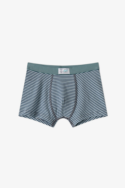 Erkek Çocuk Mavi Dino Dash Pamuklu 3'lü Boxer