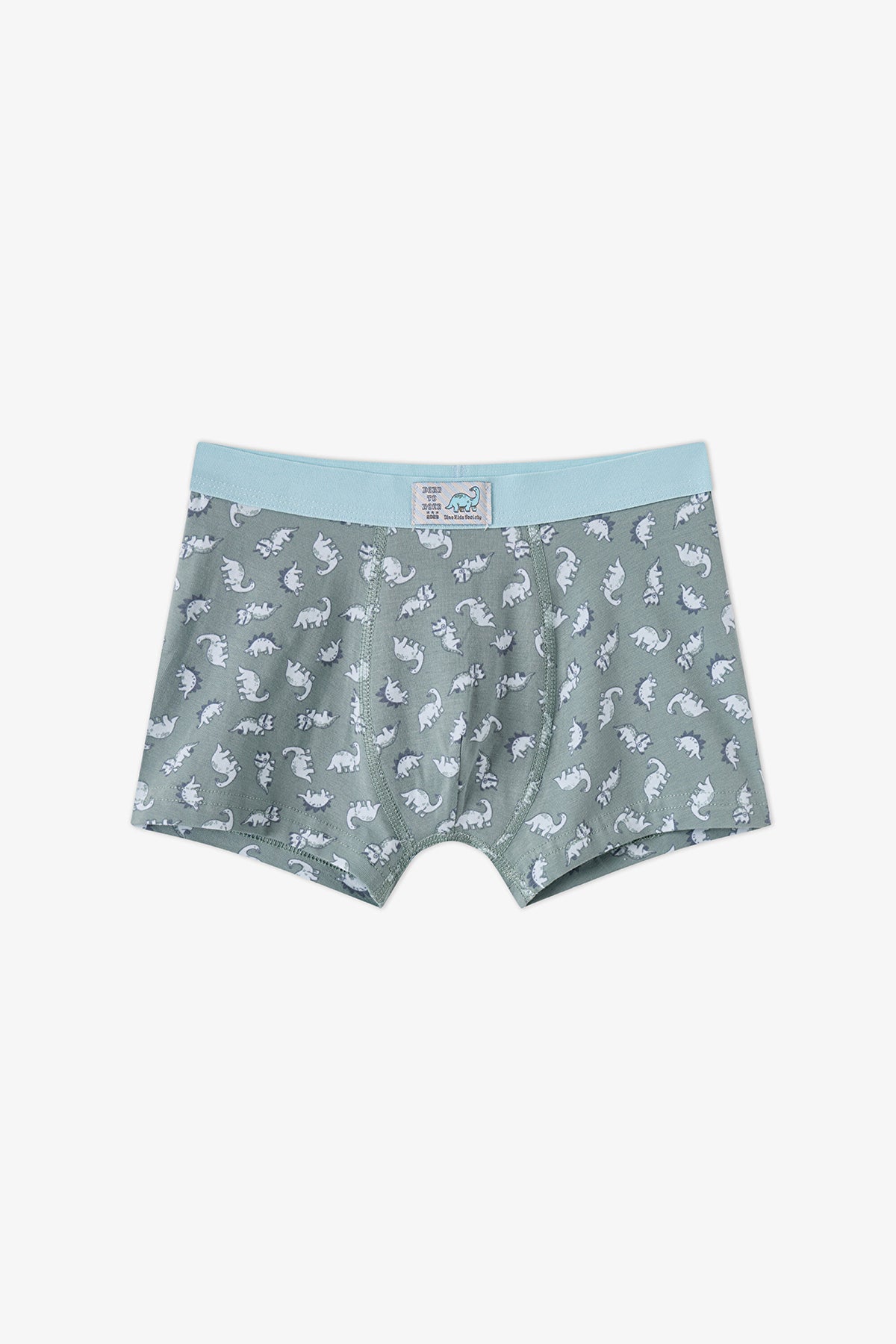 Erkek Çocuk Mavi Dino Dash Pamuklu 3'lü Boxer