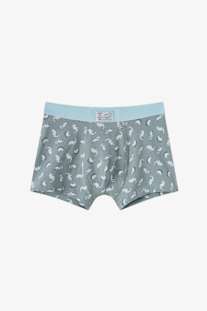 Erkek Çocuk Mavi Dino Dash Pamuklu 3'lü Boxer