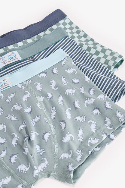 Erkek Çocuk Mavi Dino Dash Pamuklu 3'lü Boxer