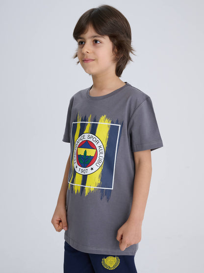 Fenerbahçe Gri Brush Çubuklu Tribün Çocuk Tshirt