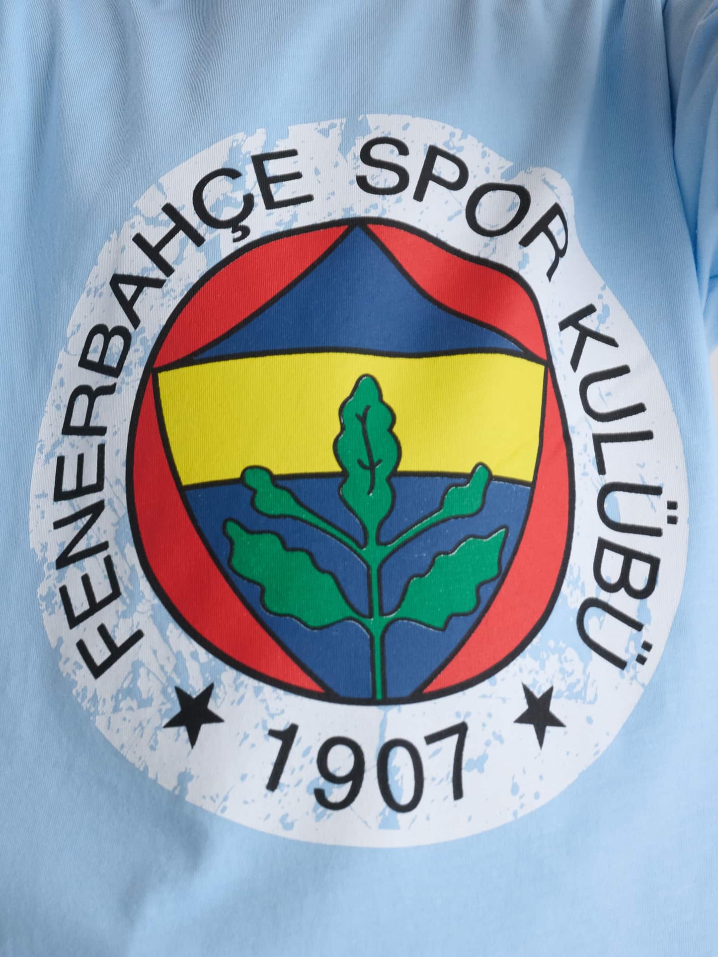 Fenerbahçe Mavi Brush Logolu Tribün Tshirt