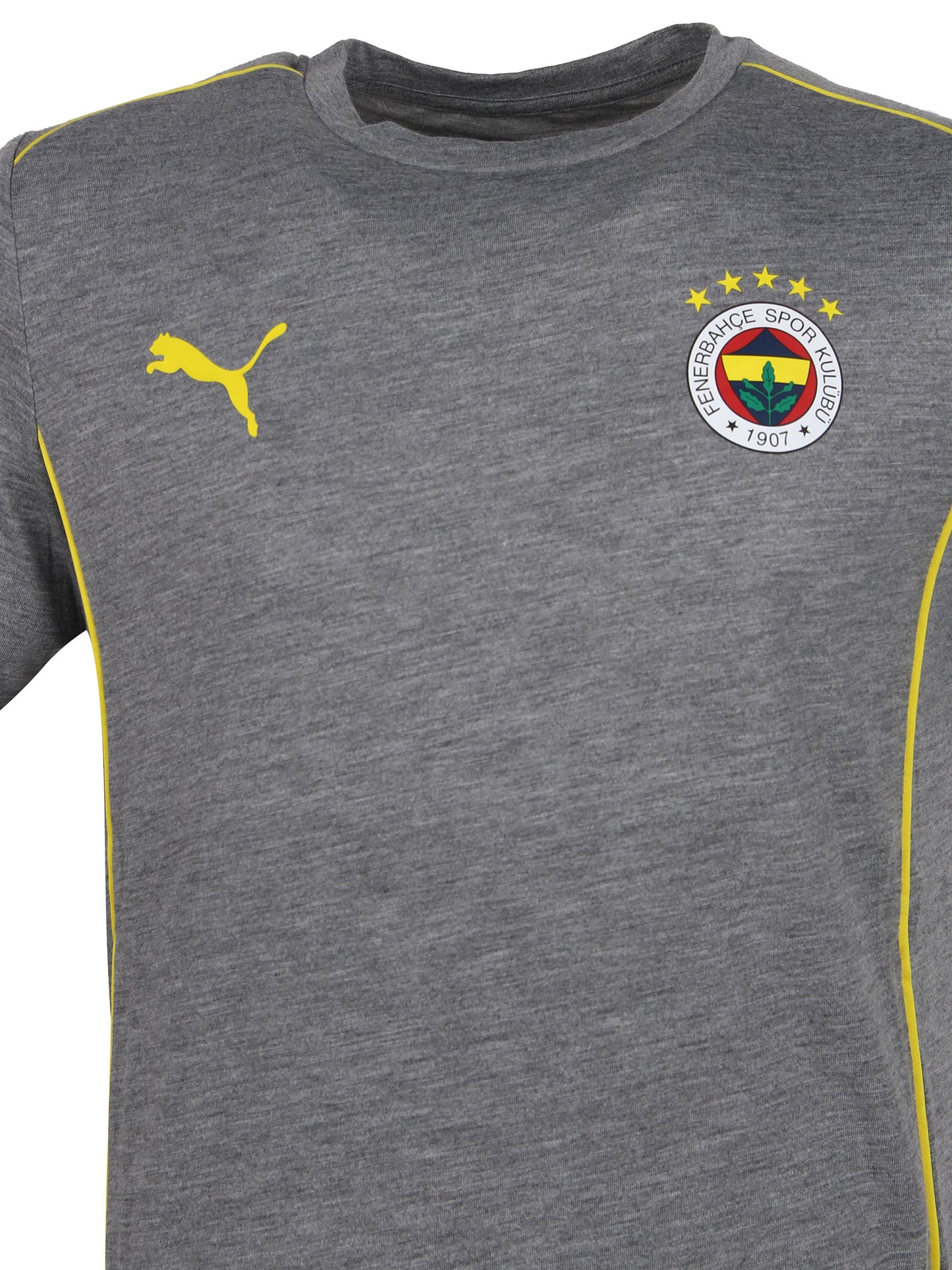 Fenerbahçe Puma Gri Melanj Tshirt
