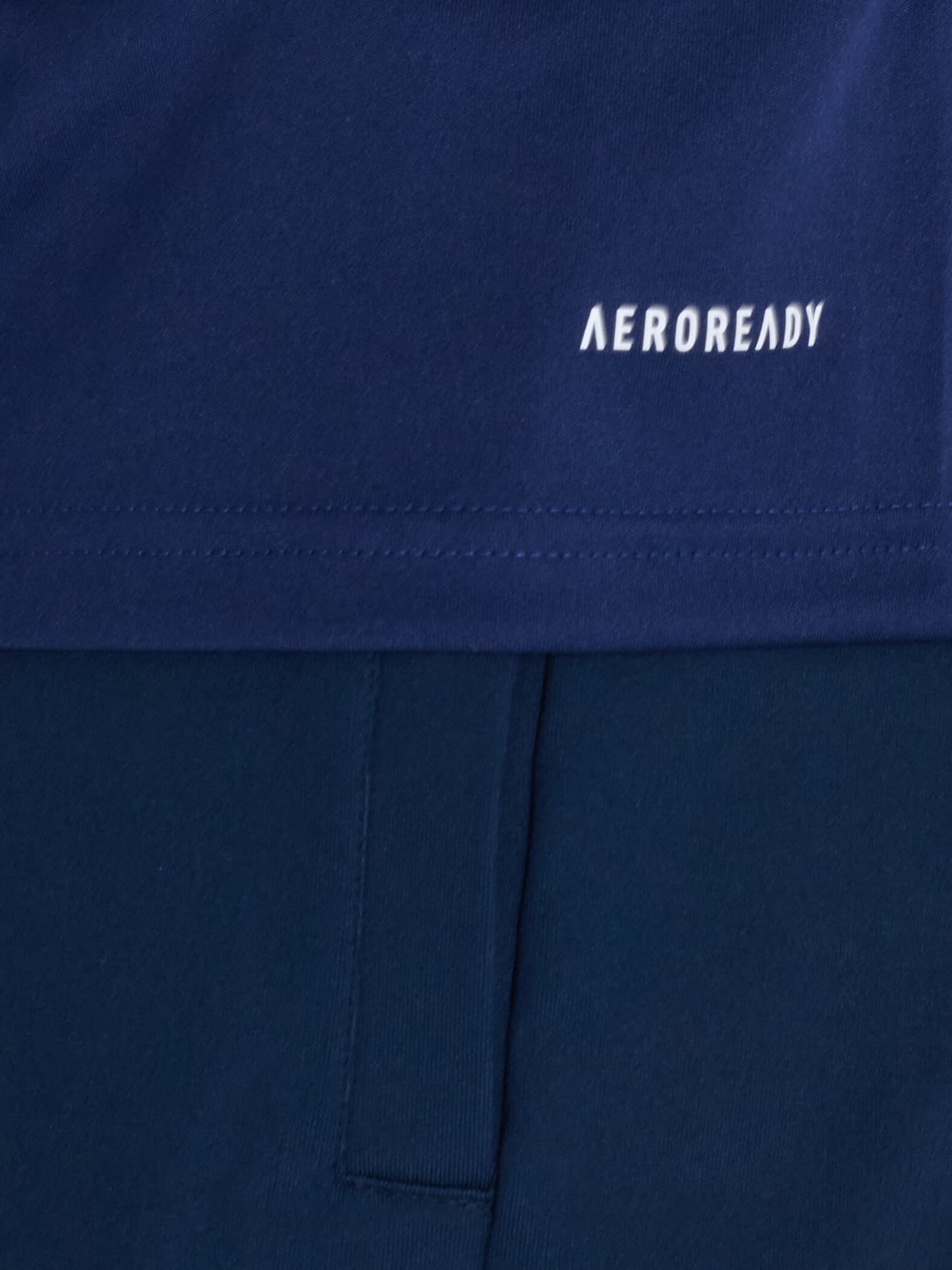 Fenerbahçe Beko Adidas Lacivert Tshirt 24/25