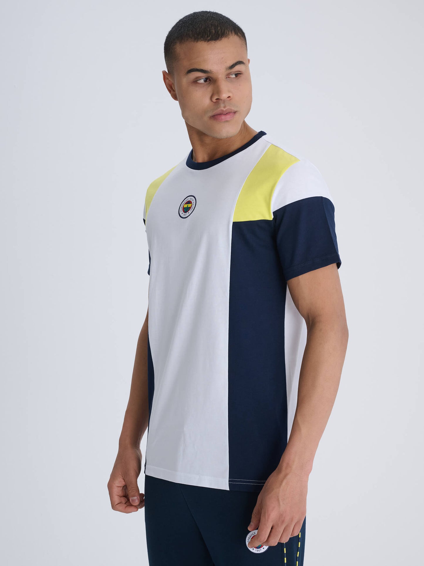 Fenerbahçe 3 Renkli Tribün Bloklu Erkek Tshirt