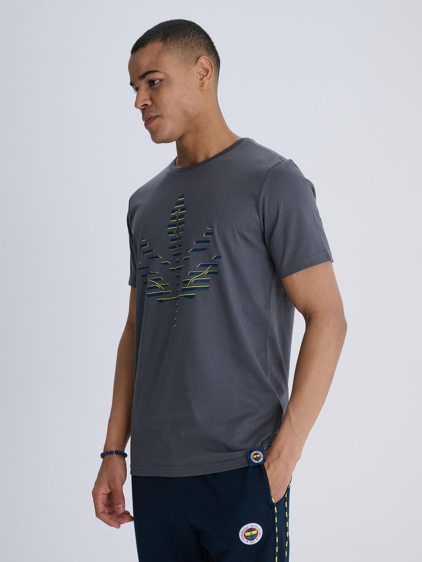 Fenerbahçe Gri Tribün Sarı Lacivert Palamut Erkek Tshirt