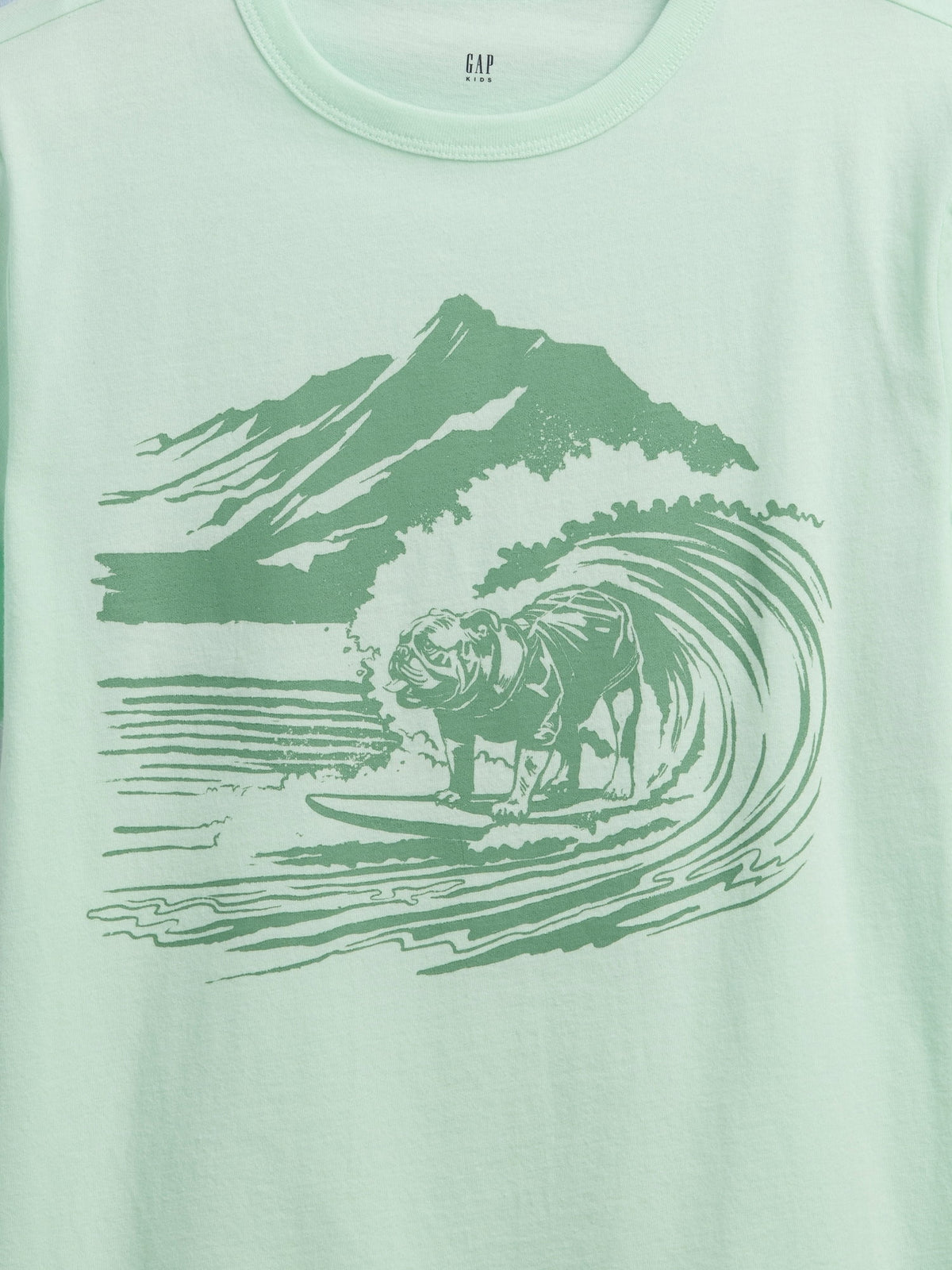 Mavi Grafik Baskılı T-shirt (2’li)