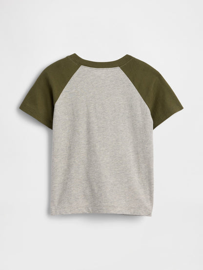 Açık Gri Colorblock Grafik Baskılı T-shirt