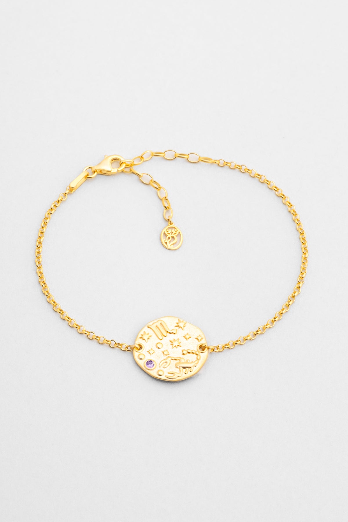 Akrep Burcu 18 Ayar Sarı Altın Kaplama 20 Cm Gümüş Bileklik 07310278944