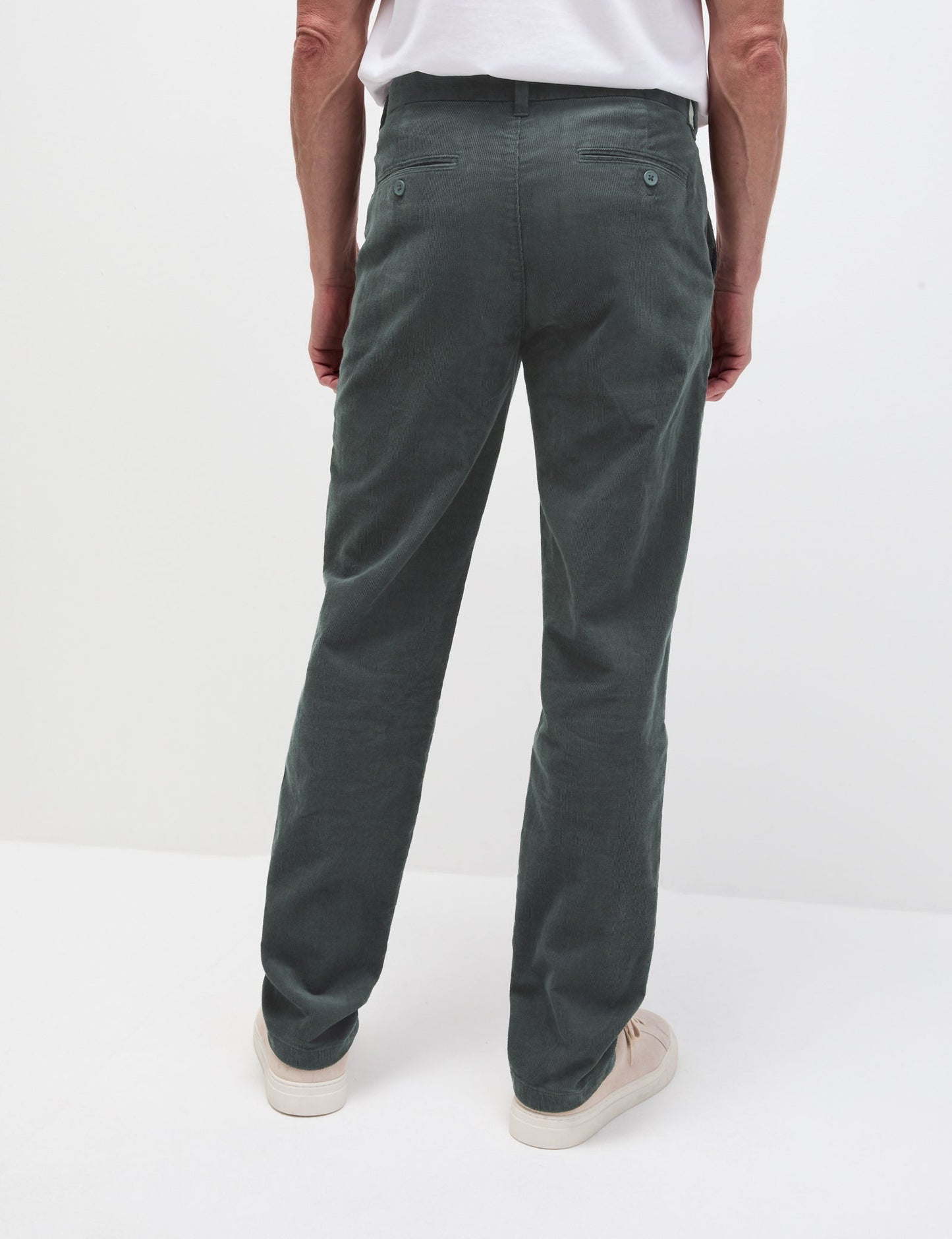 Regular Fit Fitilli Chino Pantolon