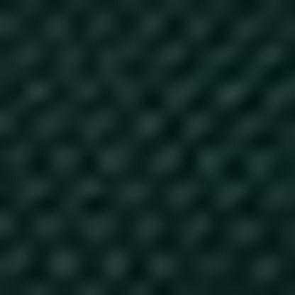 Nautica Erkek Yeşil Classic Fit Uzun Kollu Polo Yaka T-shirt