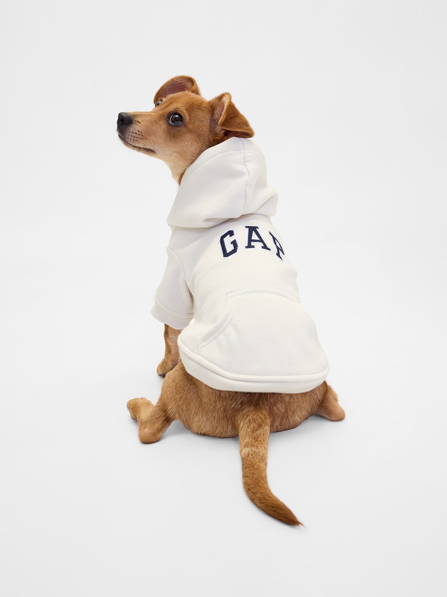 Beyaz Gap Logo Köpek Kıyafeti