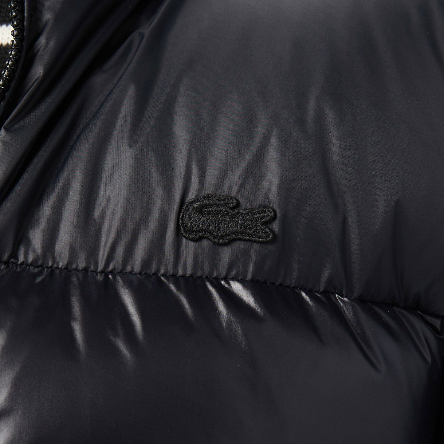 Lacoste Erkek Kapüşonlu Çizgili Siyah Mont