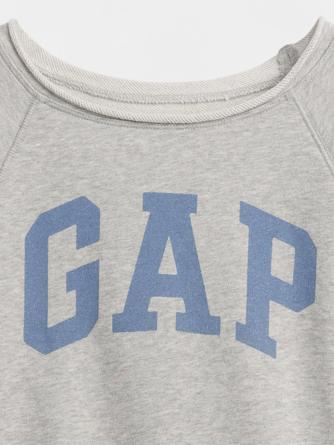 Gri Vintagesoft Terry Raglan Grafik Baskılı Sweatshirt